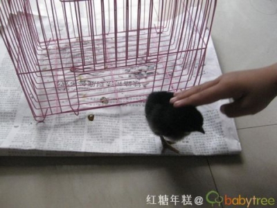当我用手扶住小鸡鸡的时候不禁感慨：它为什么这么黑.jpg